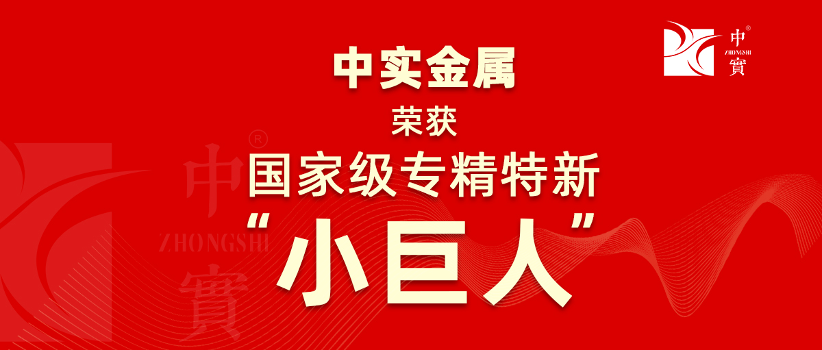 【喜訊】中實(shí)金屬獲評(píng)為廣東省第六批專(zhuān)精特新“小巨人”企業(yè)